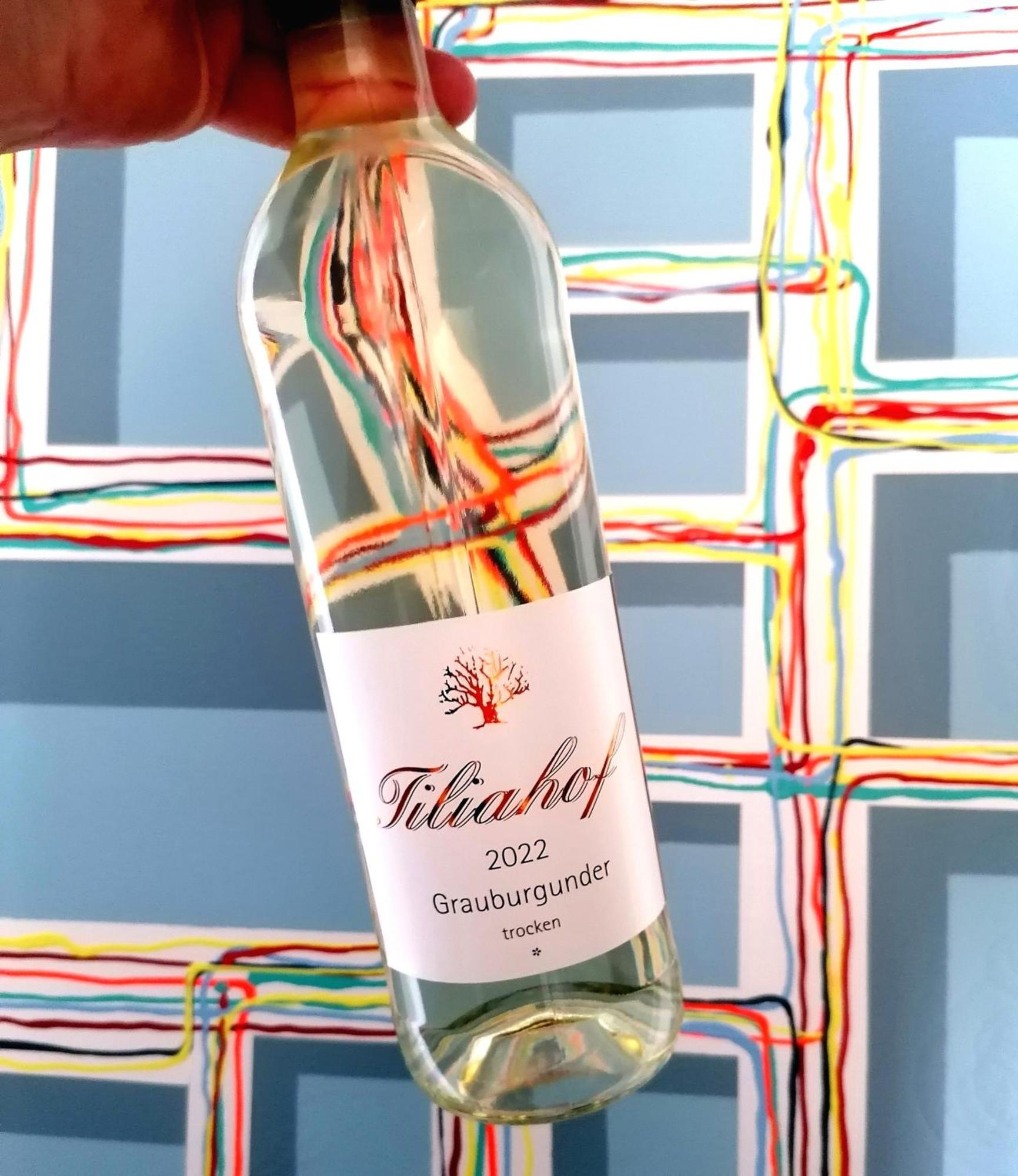 לינה וארוחת בוקר בראונברג Weingut Tiliahof מראה חיצוני תמונה