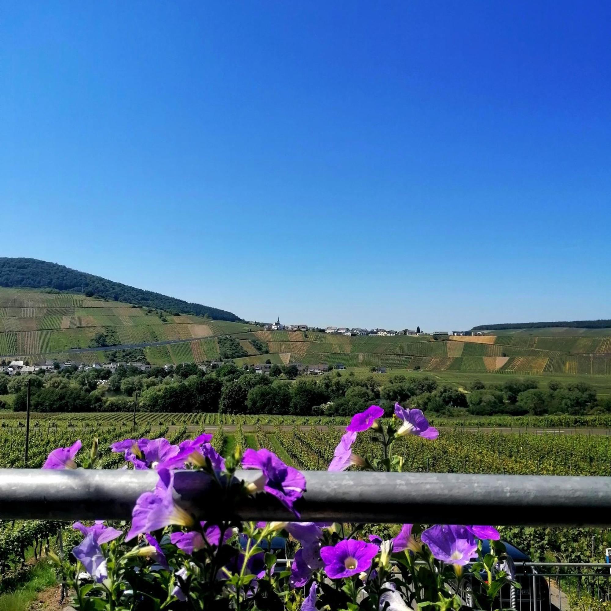 לינה וארוחת בוקר בראונברג Weingut Tiliahof מראה חיצוני תמונה